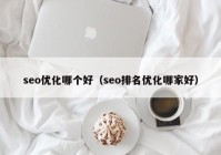 seo优化哪个好（seo排名优化哪家好）