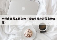 小程序开发工具上传（微信小程序开发上传文件）