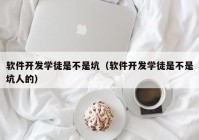 软件开发学徒是不是坑（软件开发学徒是不是坑人的）