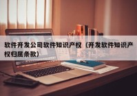 软件开发公司软件知识产权（开发软件知识产权归属条款）