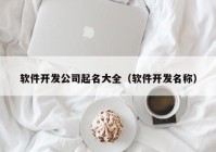 软件开发公司起名大全（软件开发名称）