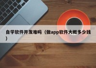 自学软件开发难吗（做app软件大概多少钱）